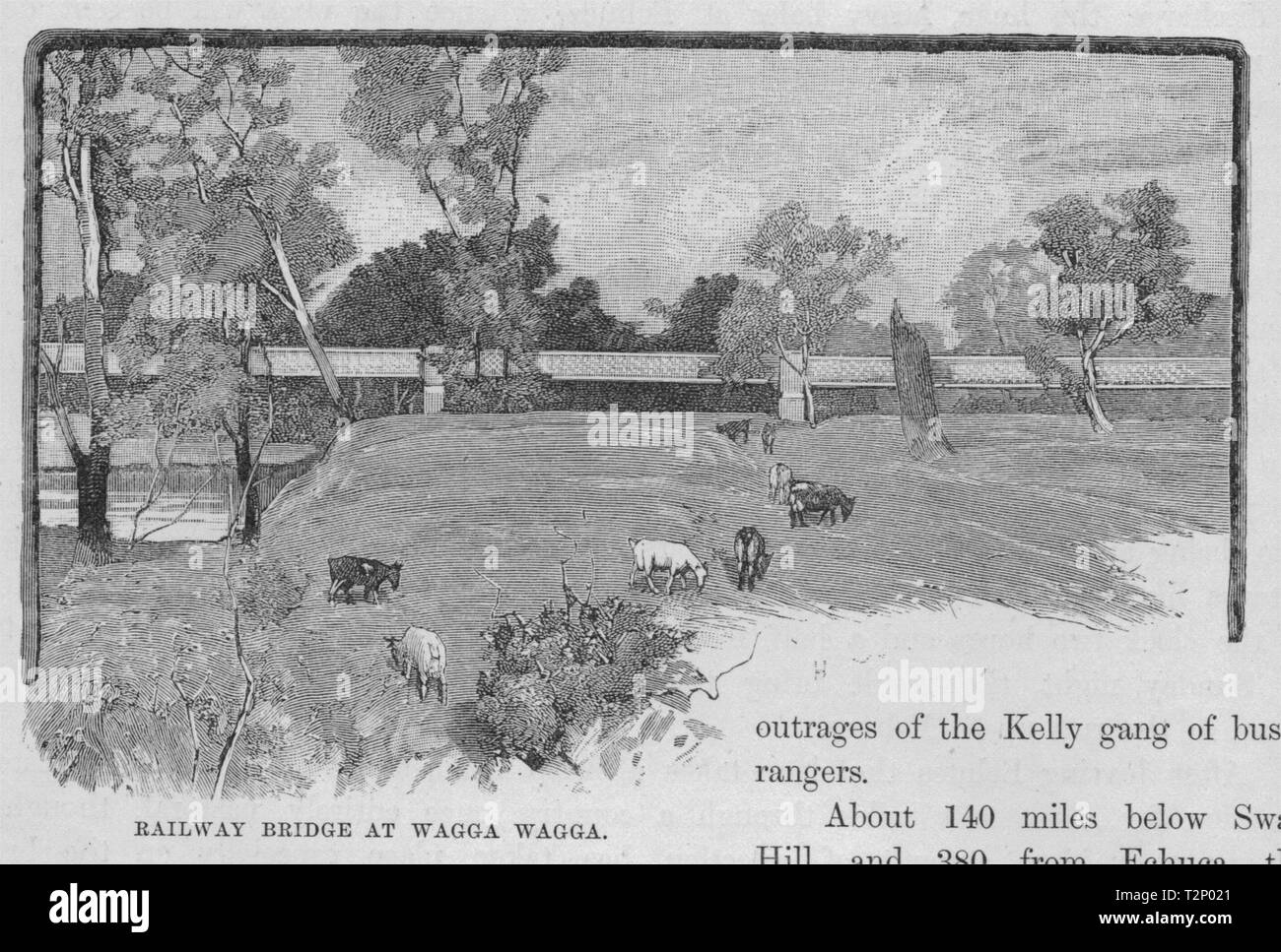 Railway Bridge at Wagga Wagga. The Murray river basin. Australia 1890 print Stock Photo