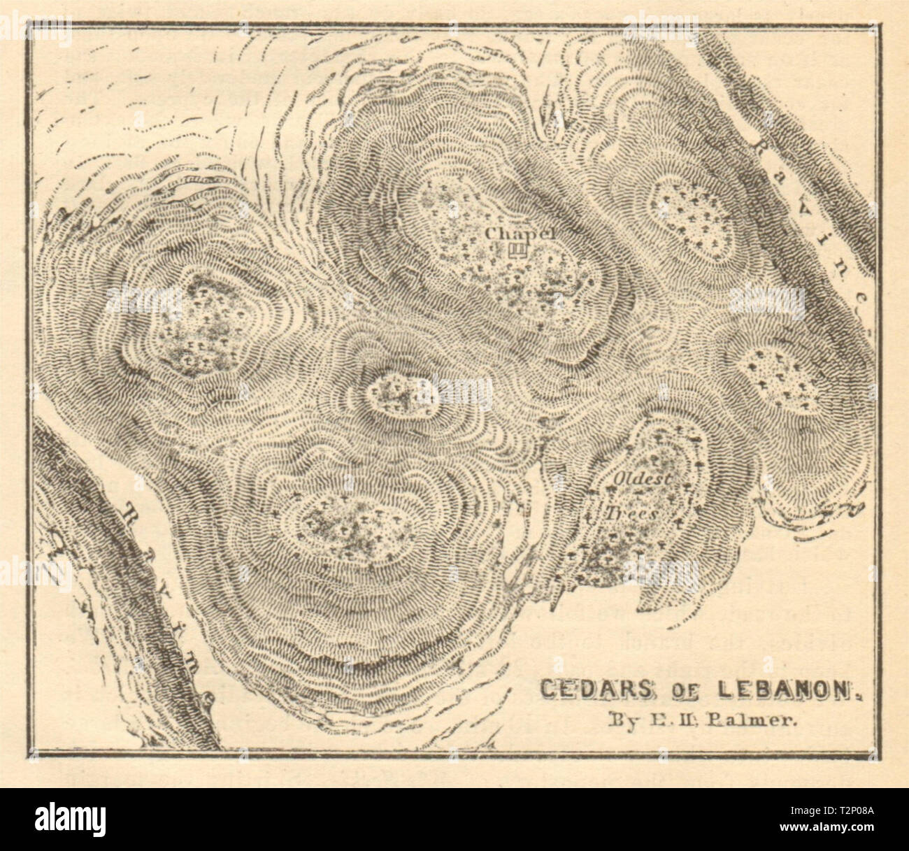 Forest of the Cedars of Lebanon / God. Bcharreh Horsh Arz el-Rab. SMALL 1912 map Stock Photo