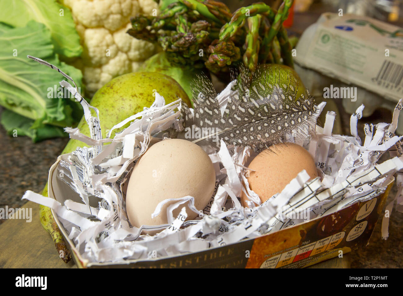 Close-up, indoor shot of two guinea fowl eggs nestled in shredded paper on kitchen table, surrounded by fruit and vegetables. Stock Photo