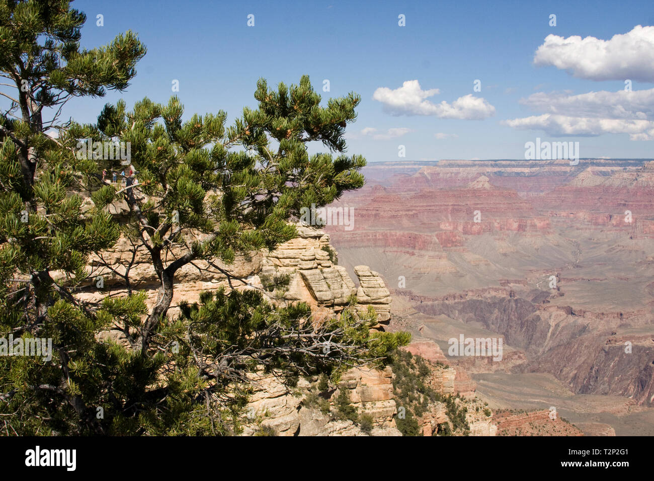 Grand Canyon view from the South Rim in mid summer with a blue sky background Stock Photo