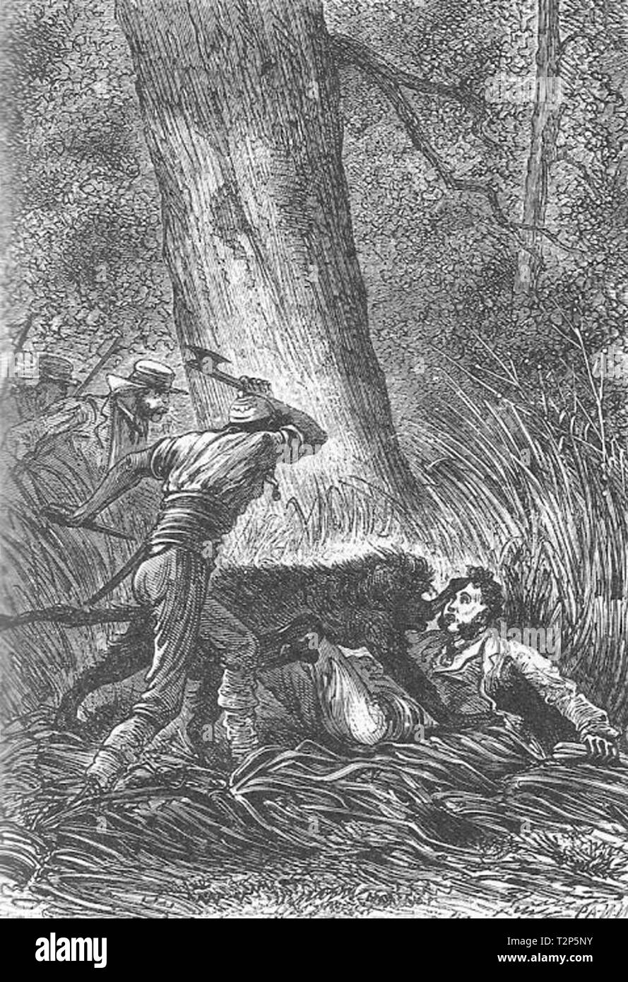 Vintage etching illustration Stock Photo Alamy