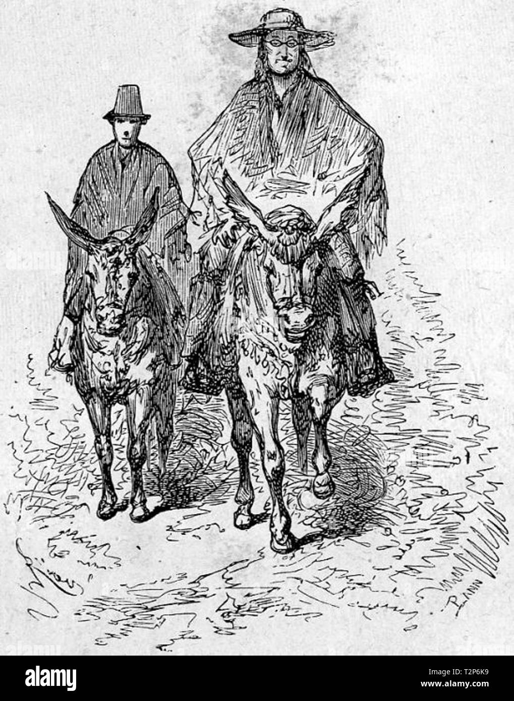 Vintage etching illustration Stock Photo Alamy