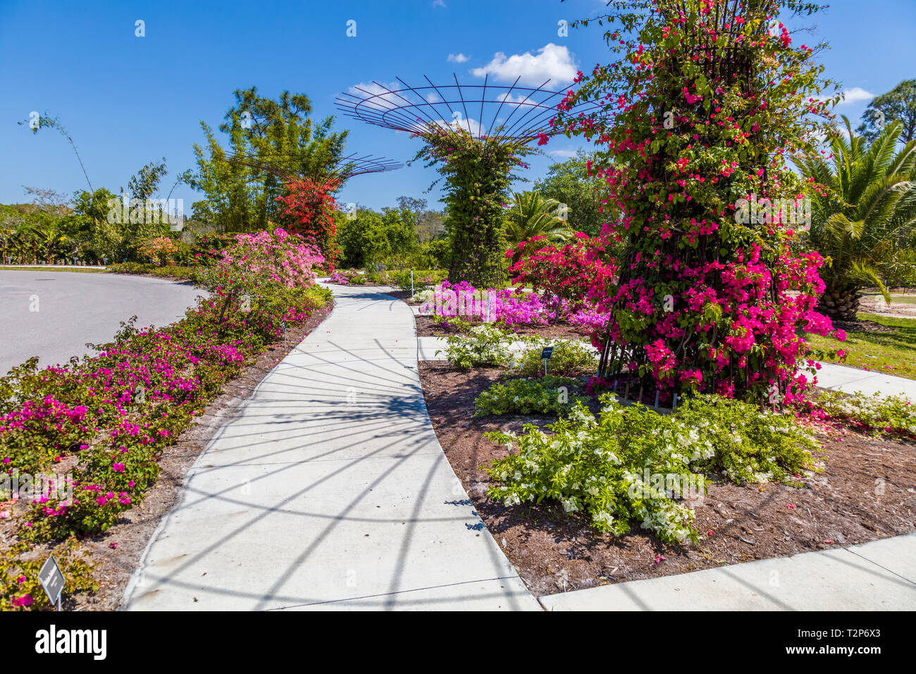 Botanical Gardens Punta Gorda Fl: Explore Nature's Oasis 4 Botanical Gardens Punta Gorda Fl: Explore Nature's Oasis