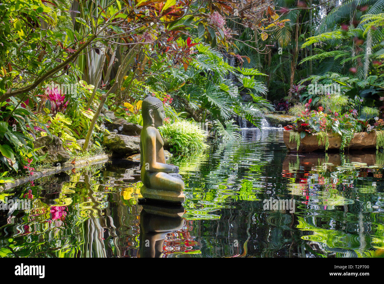 Pond In Marie Selby Botanical Gardens In Sarasota Florida Stock