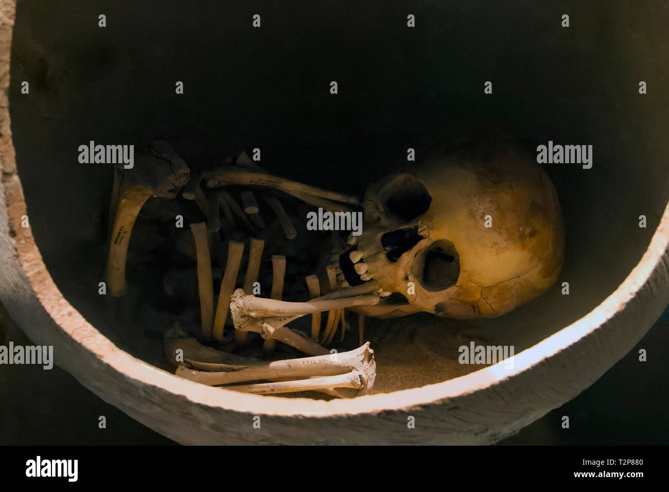 Skull of an ancient burial of mexican natives Stock Photo
