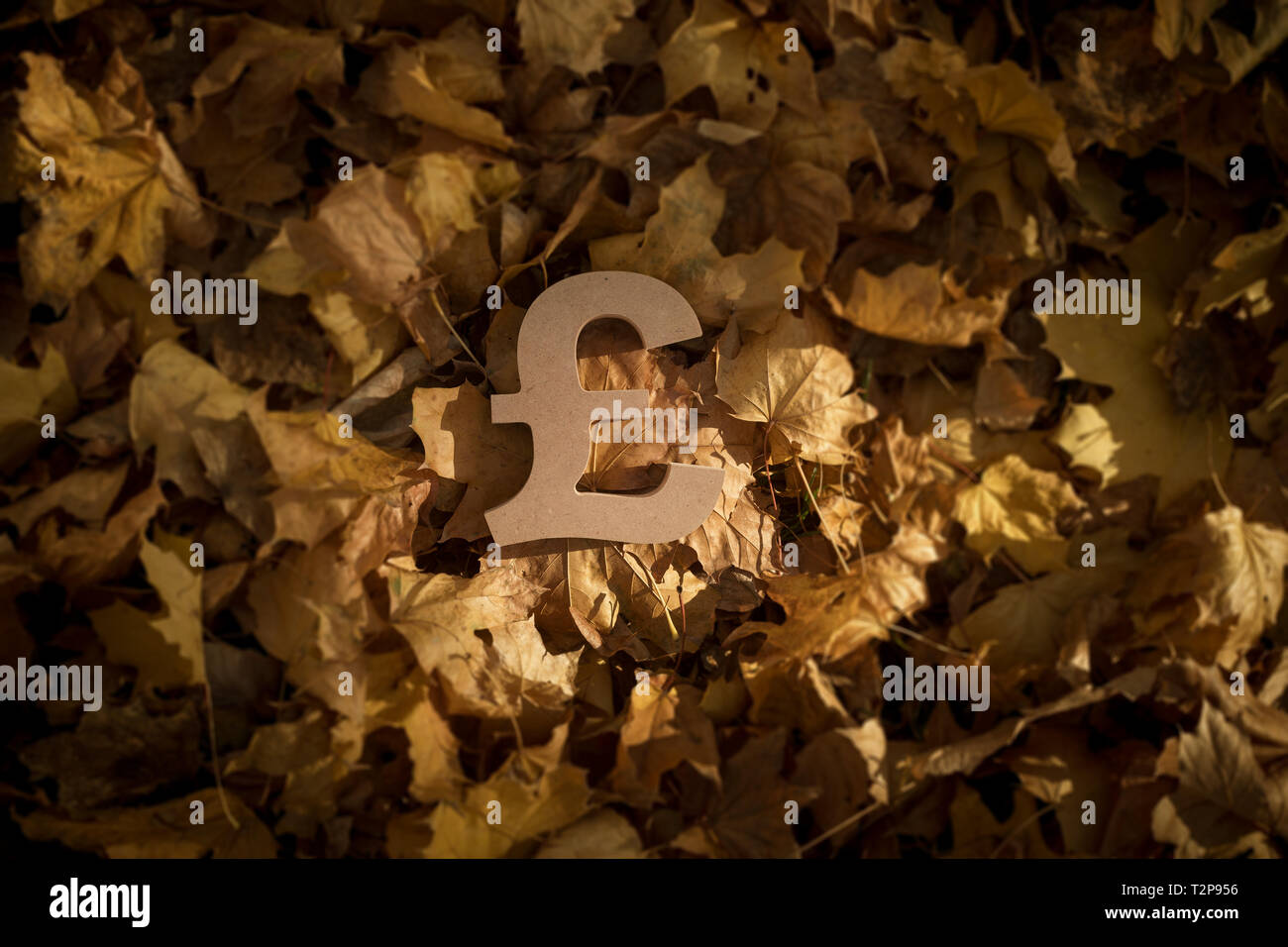 British Pound Sterling Currency Symbol on Autumn Leaves in Late evening Sun Stock Photo