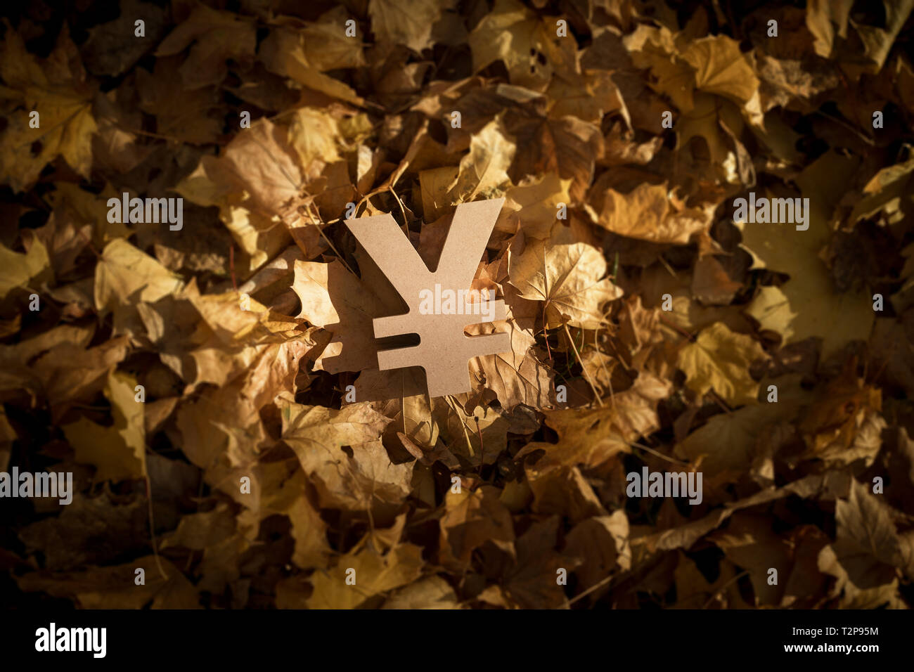 Japanese Yen or Chinese Yuan Currency Symbol on Autumn Leaves in Late evening Sun Stock Photo
