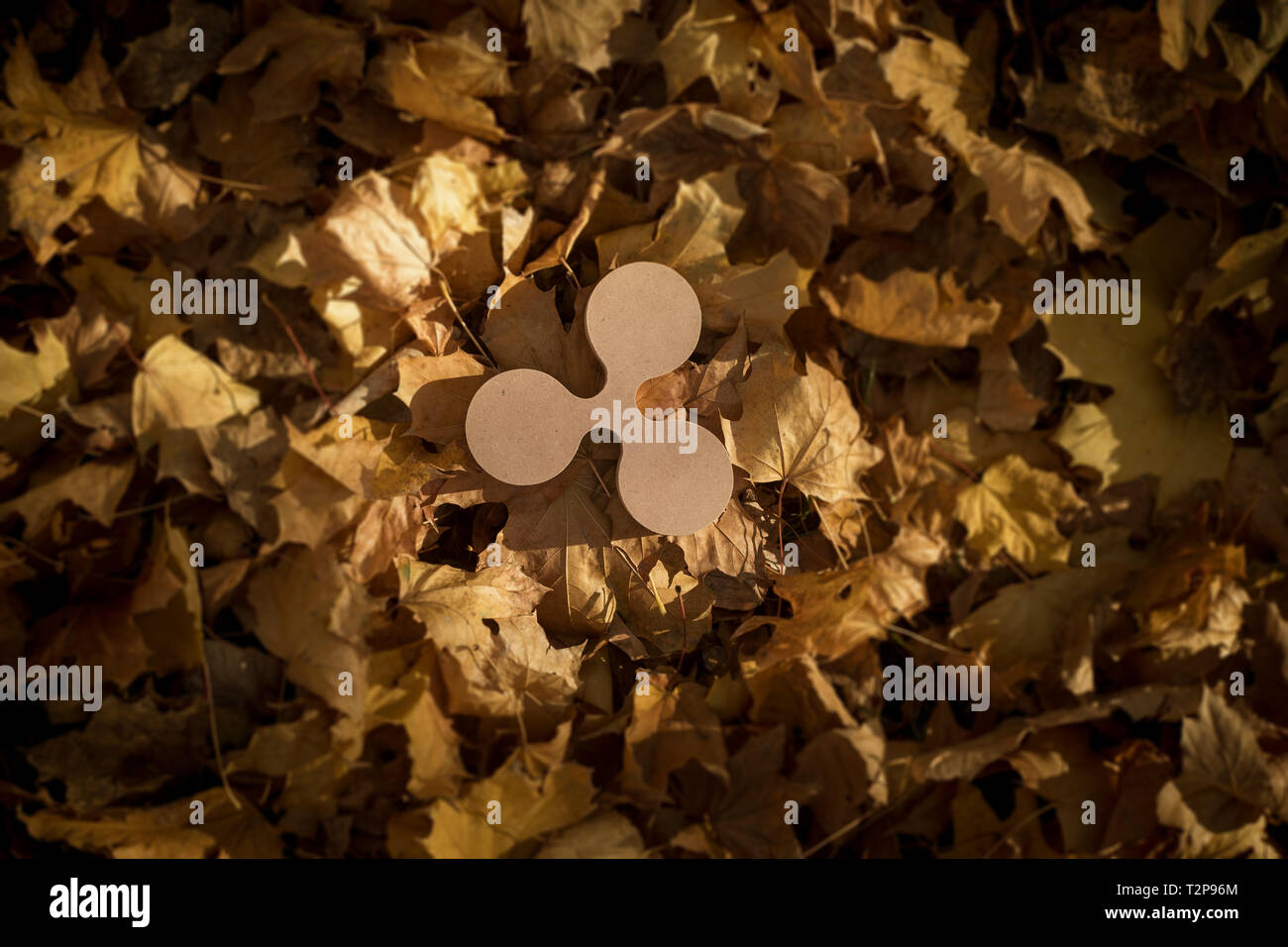 Ripple Currency Symbol on Autumn Leaves in Late evening Sun Stock Photo