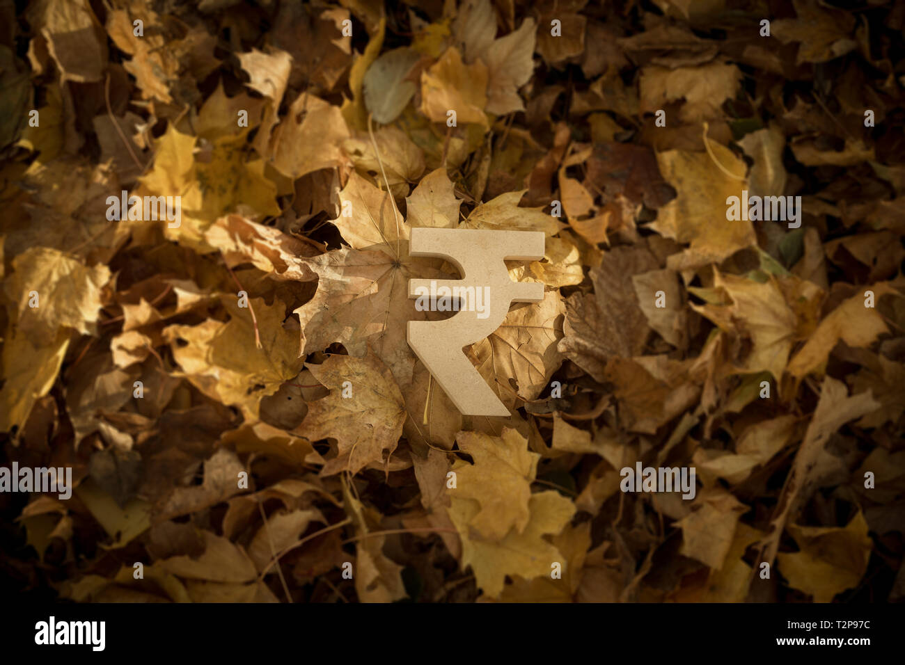 Indian Rupee Currency Symbol on Autumn Leaves in Late evening Sun Stock Photo