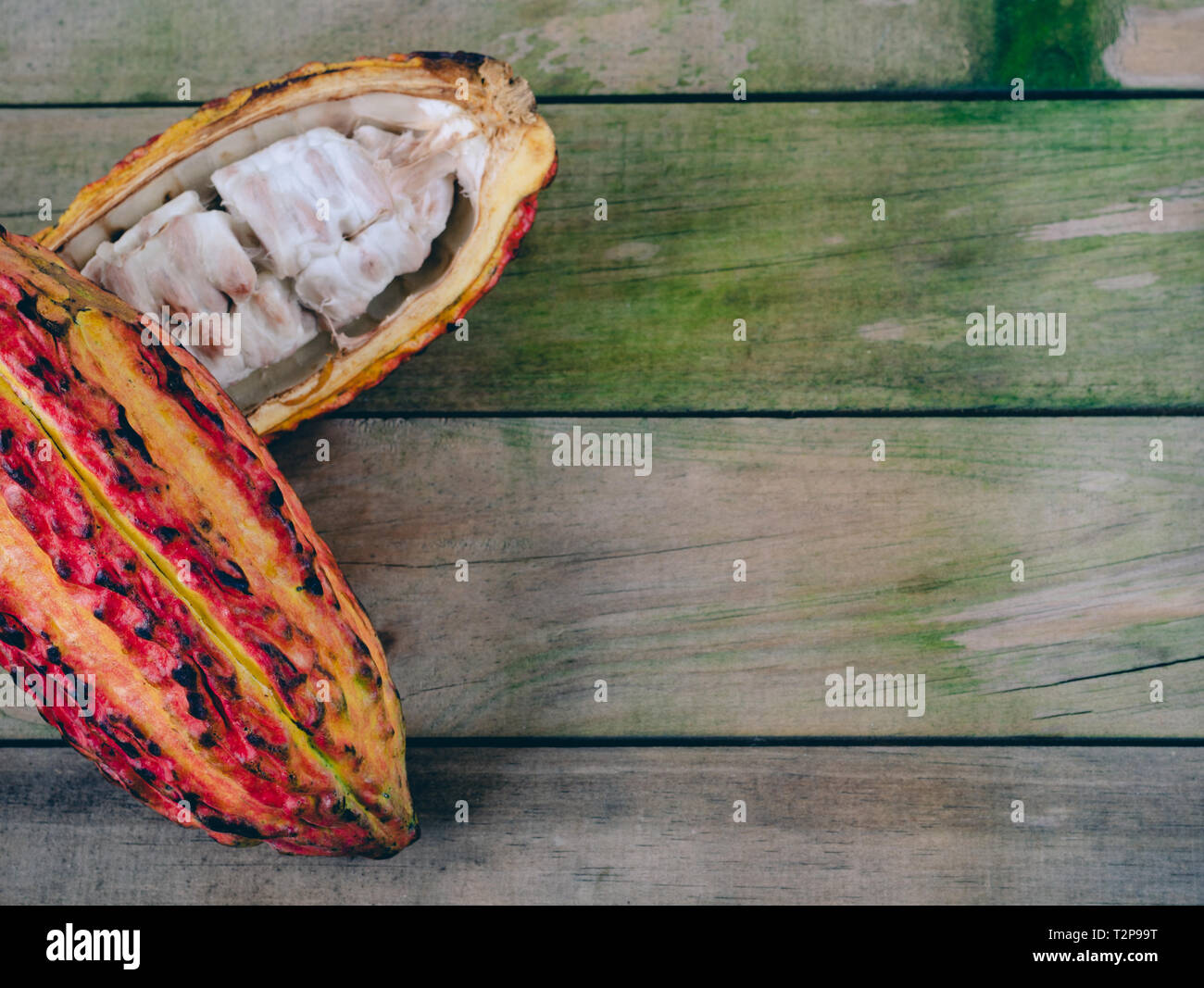 Open cocoa cob on wooden background. Space to copy. Top view. Stock Photo