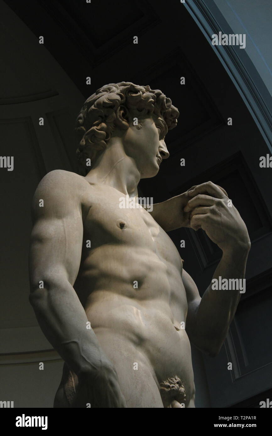 Davi de Michelangelo no detalhe Stock Photo