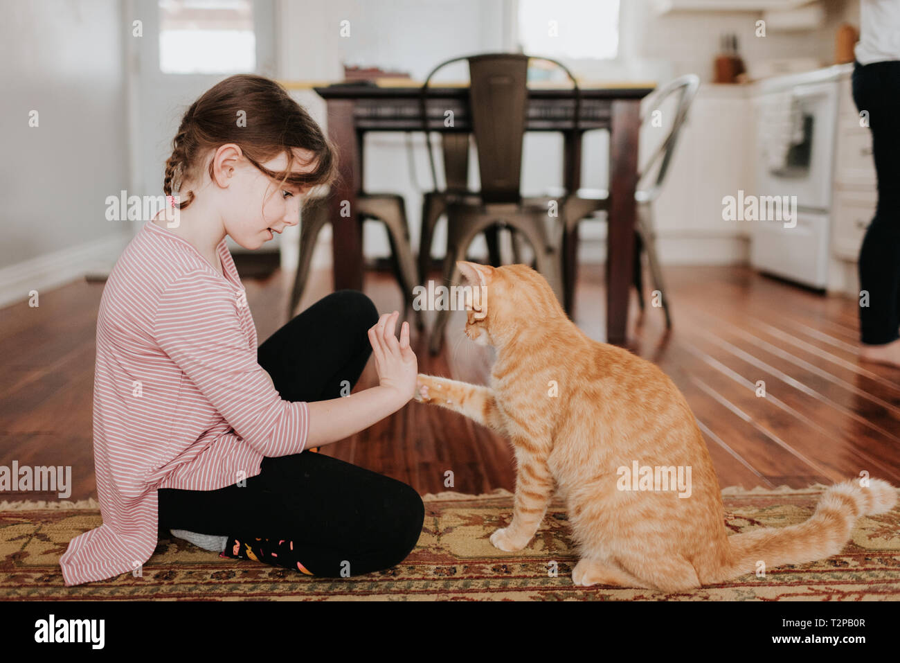 Girl playing with cat at home Stock Photo
