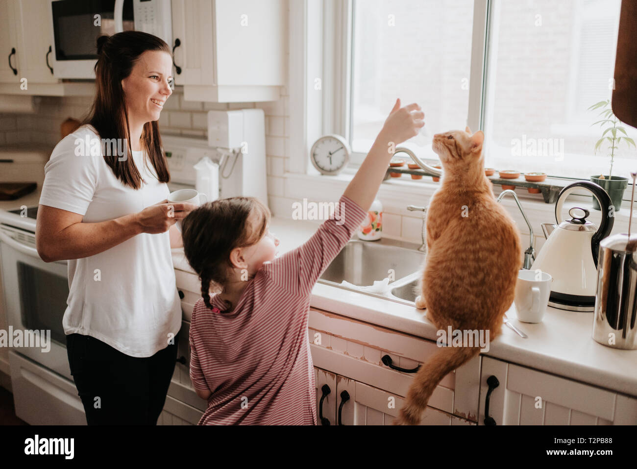 Mother watching daughter play with cat on kitchen worktop Stock Photo