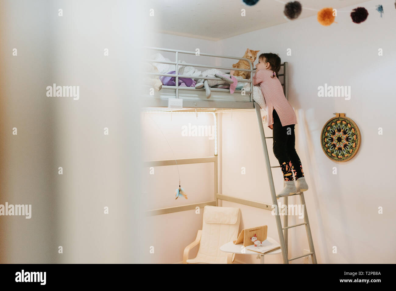 Girl playing with cat on loft bed Stock Photo