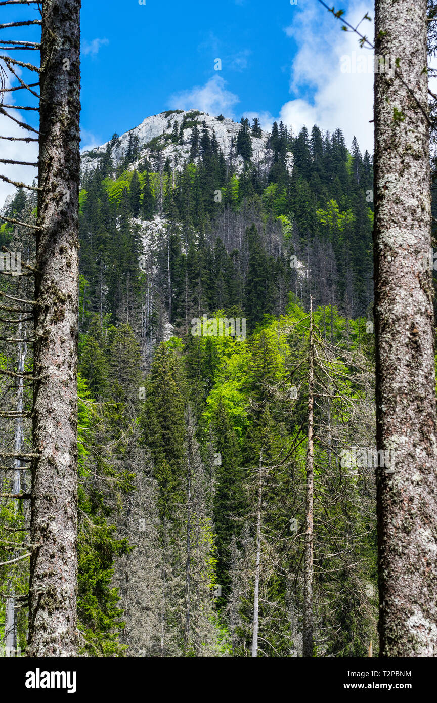 National park Sjeverni Velebit, Croatia Stock Photo Alamy