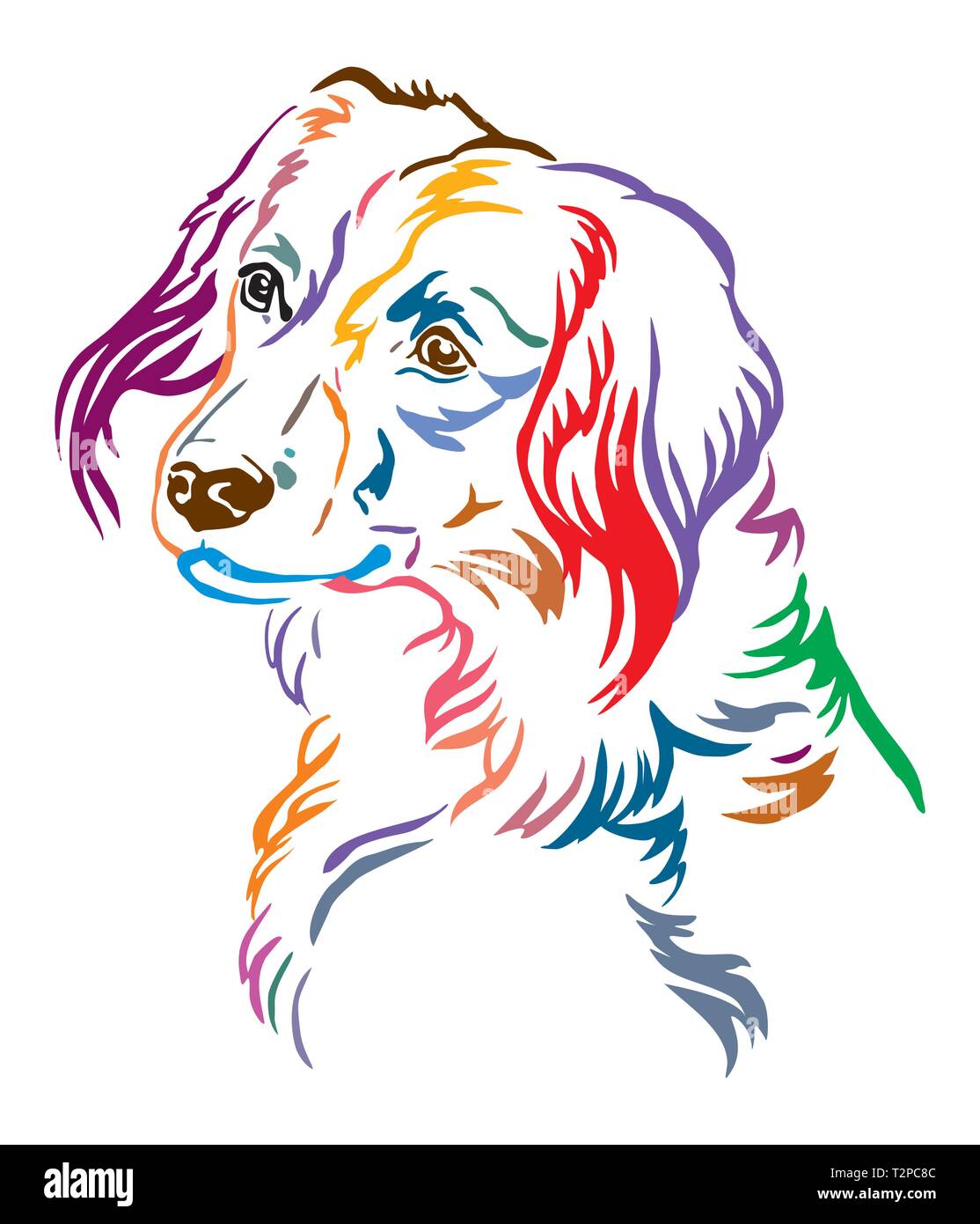 Colorful decorative outline portrait of Nederlandse Kooikerhondje Dog looking in profile, vector illustration in different colors isolated on white ba Stock Vector