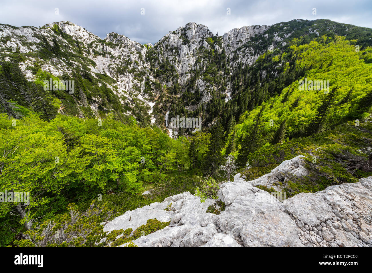 National park Sjeverni Velebit, Croatia Stock Photo Alamy