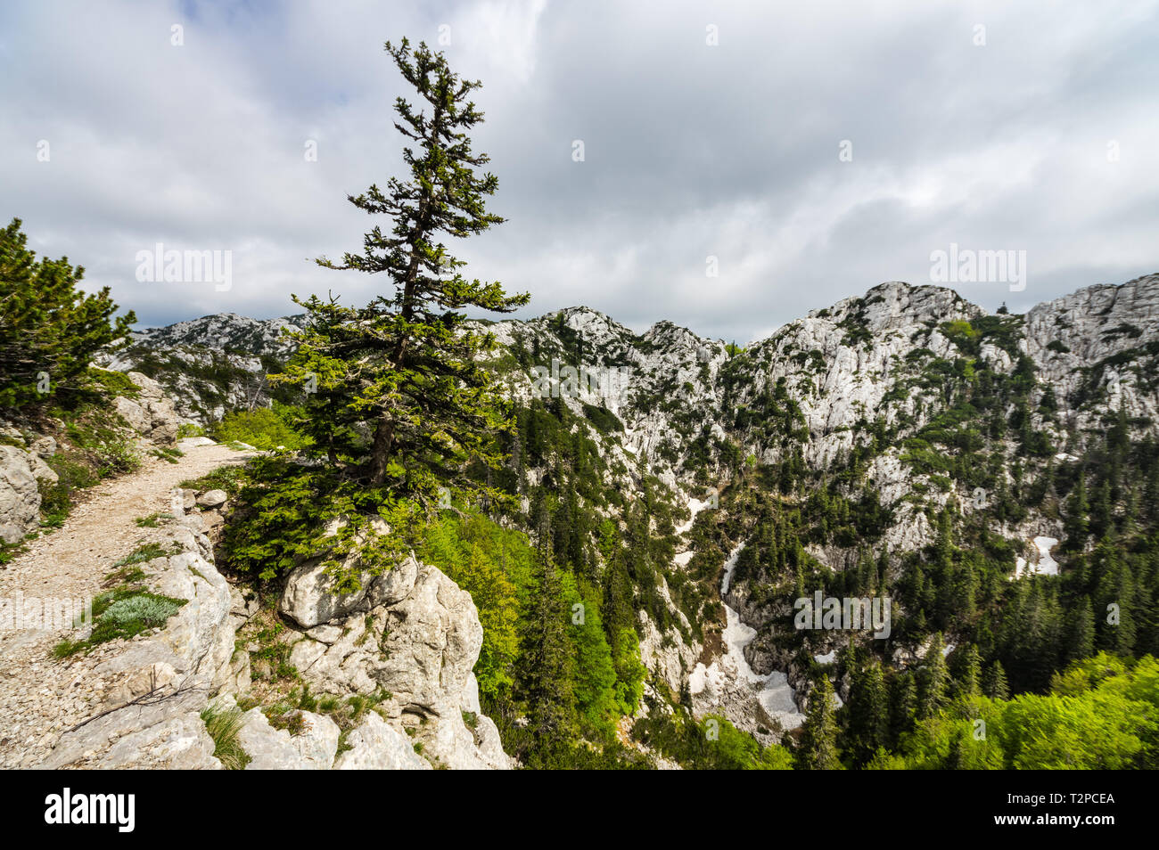 National park Sjeverni Velebit, Croatia Stock Photo Alamy