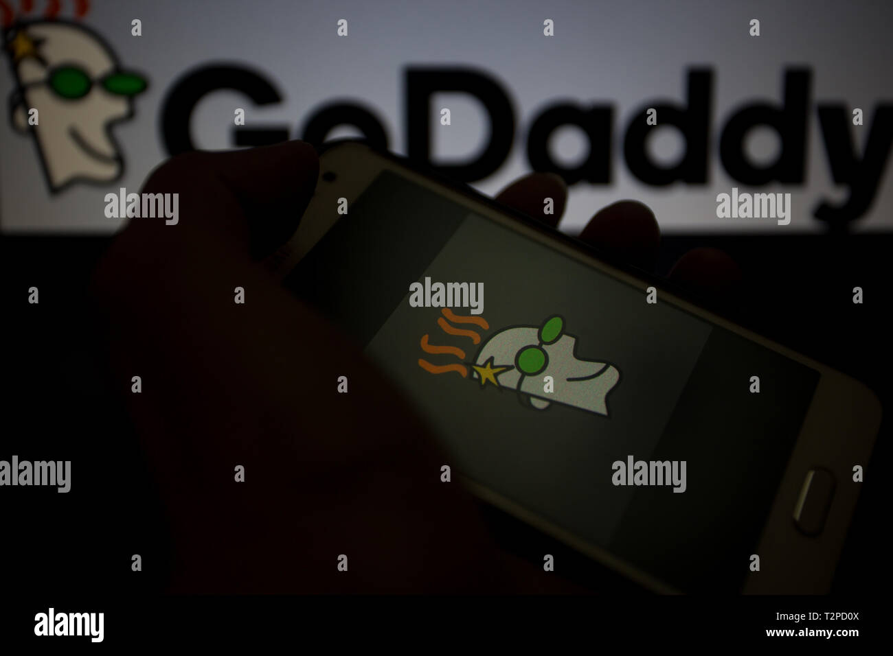 GoDaddy, world's largest domain name registrar, logo is shown on a