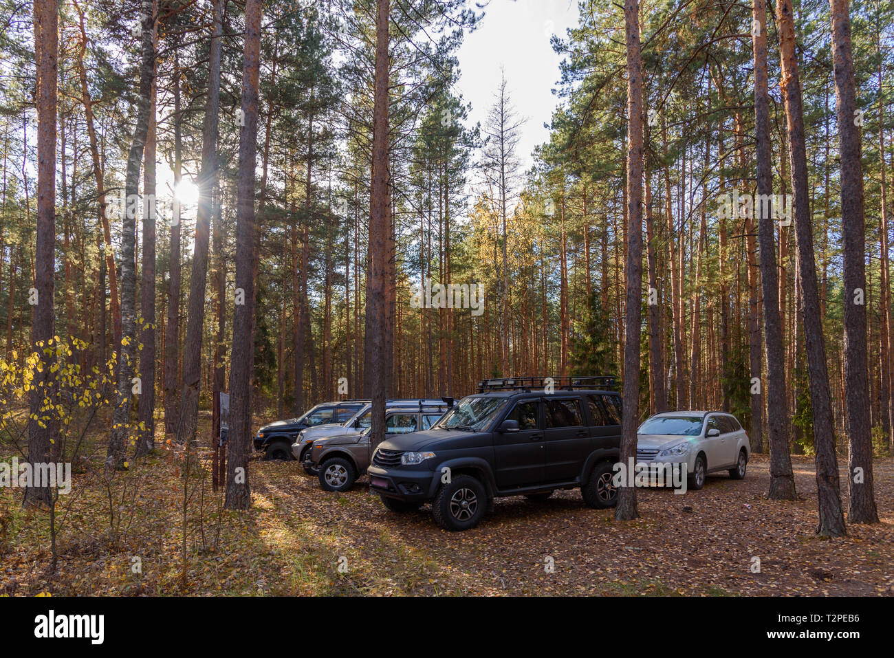 Off-road club on a clearing in the forest Stock Photo