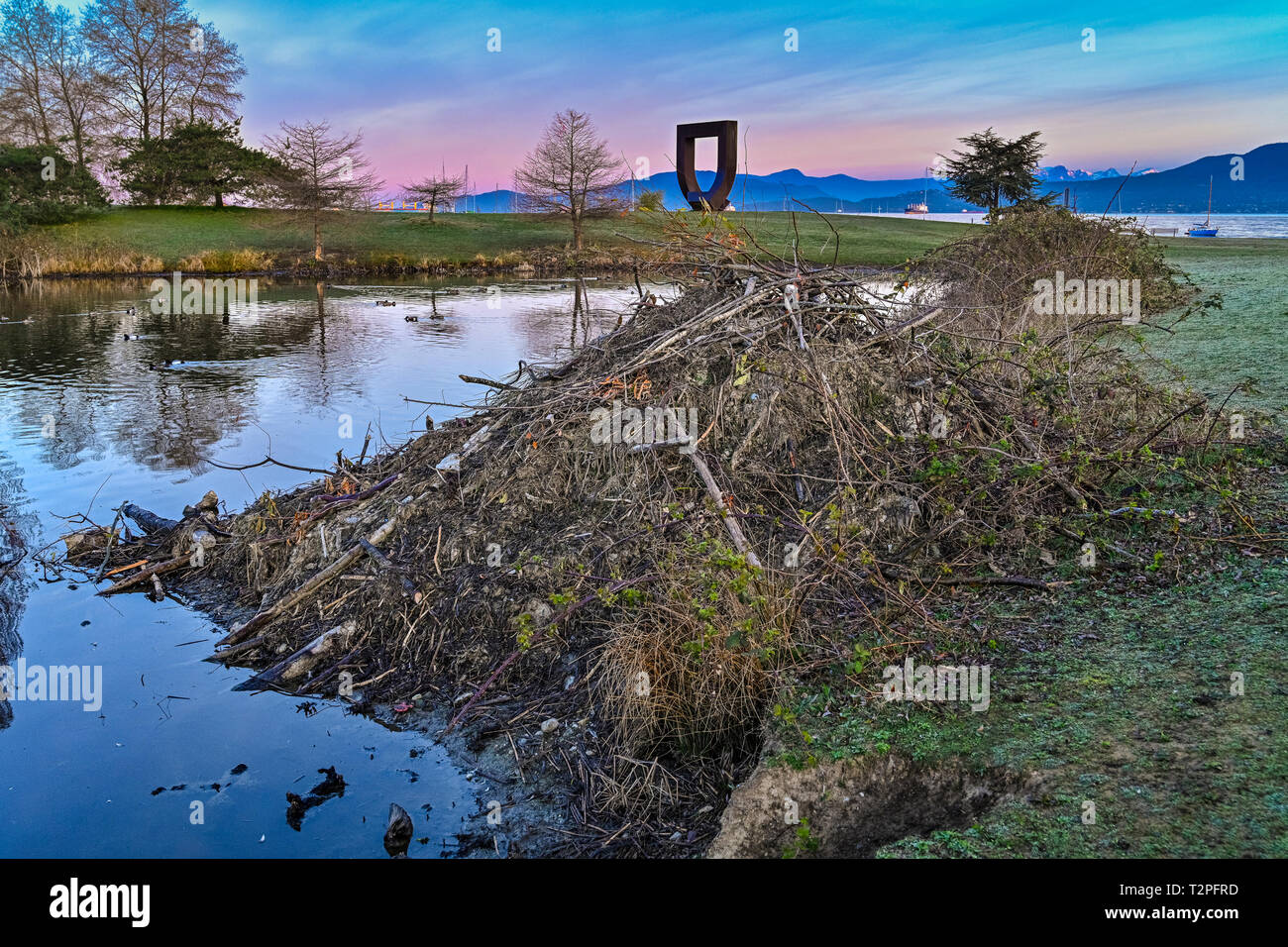 Beaver lodge hires stock photography and images Alamy