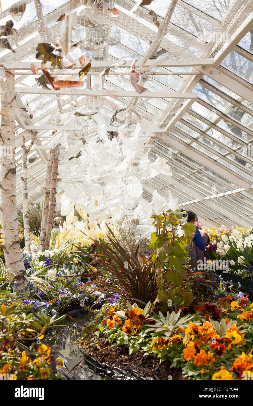 Mount Holyoke College spring bulb show in South Hadley, Massachusetts