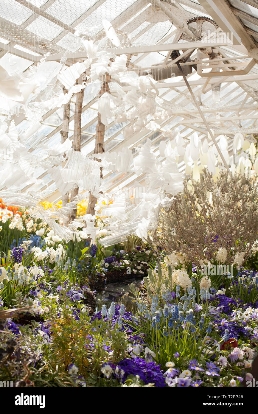Mount Holyoke College spring bulb show in South Hadley, Massachusetts
