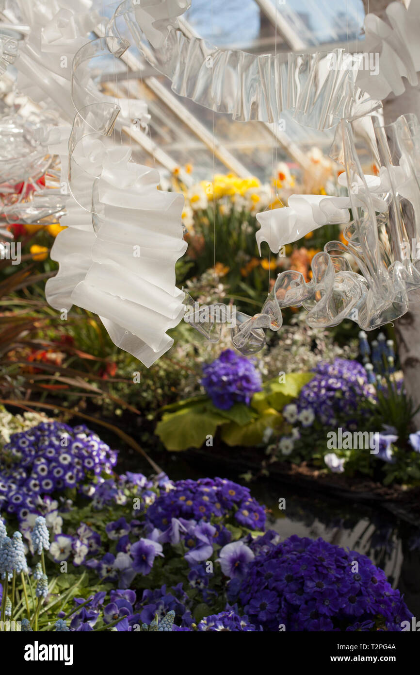 Mount Holyoke College spring bulb show in South Hadley, Massachusetts
