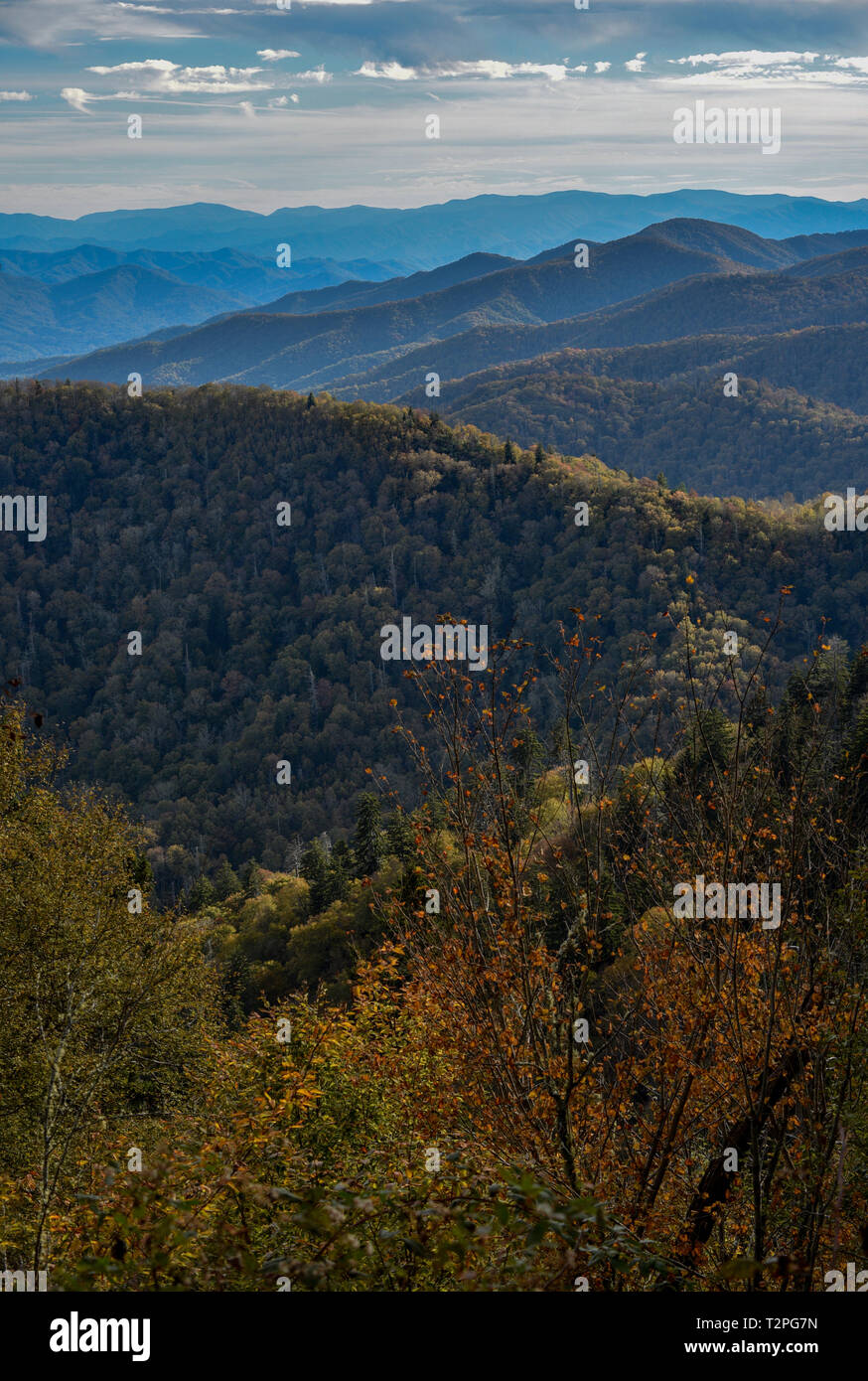 Spectacular mountain range vistas from Charlies Bunion, Appalachian