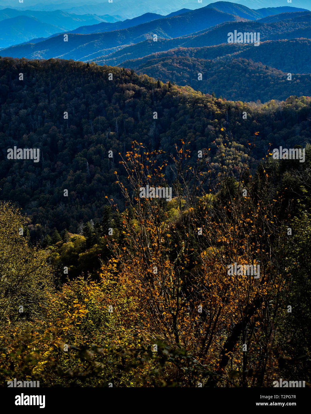 Spectacular mountain range vistas from Charlies Bunion, Appalachian