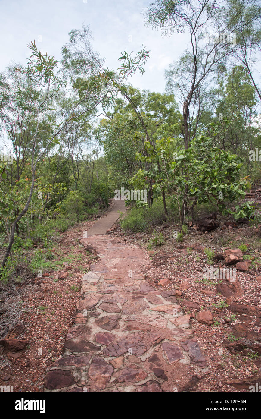 Stone path through the native bushland at Litchfield National Park in ...