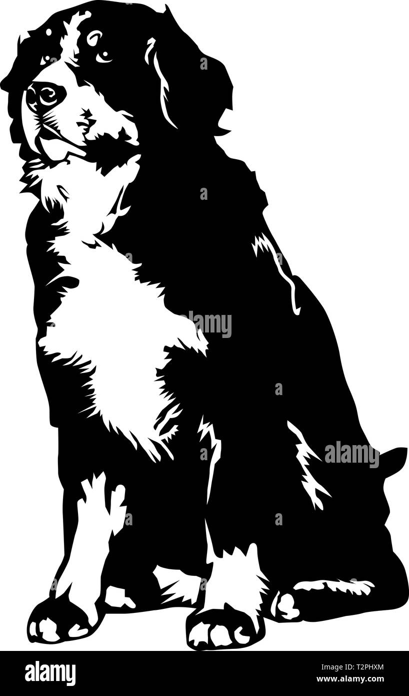 Bernese Mountain Dog Vector Illustration Stock Vector