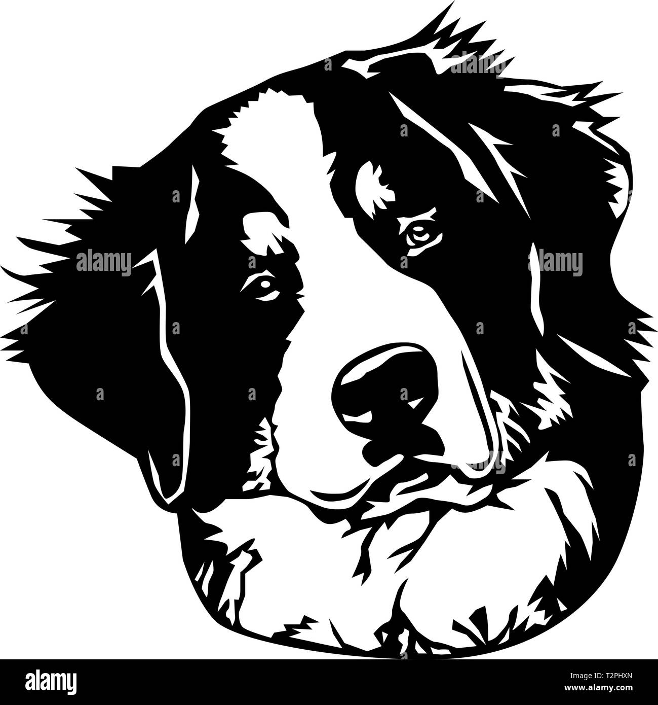 Bernese Mountain Dog Vector Illustration Stock Vector