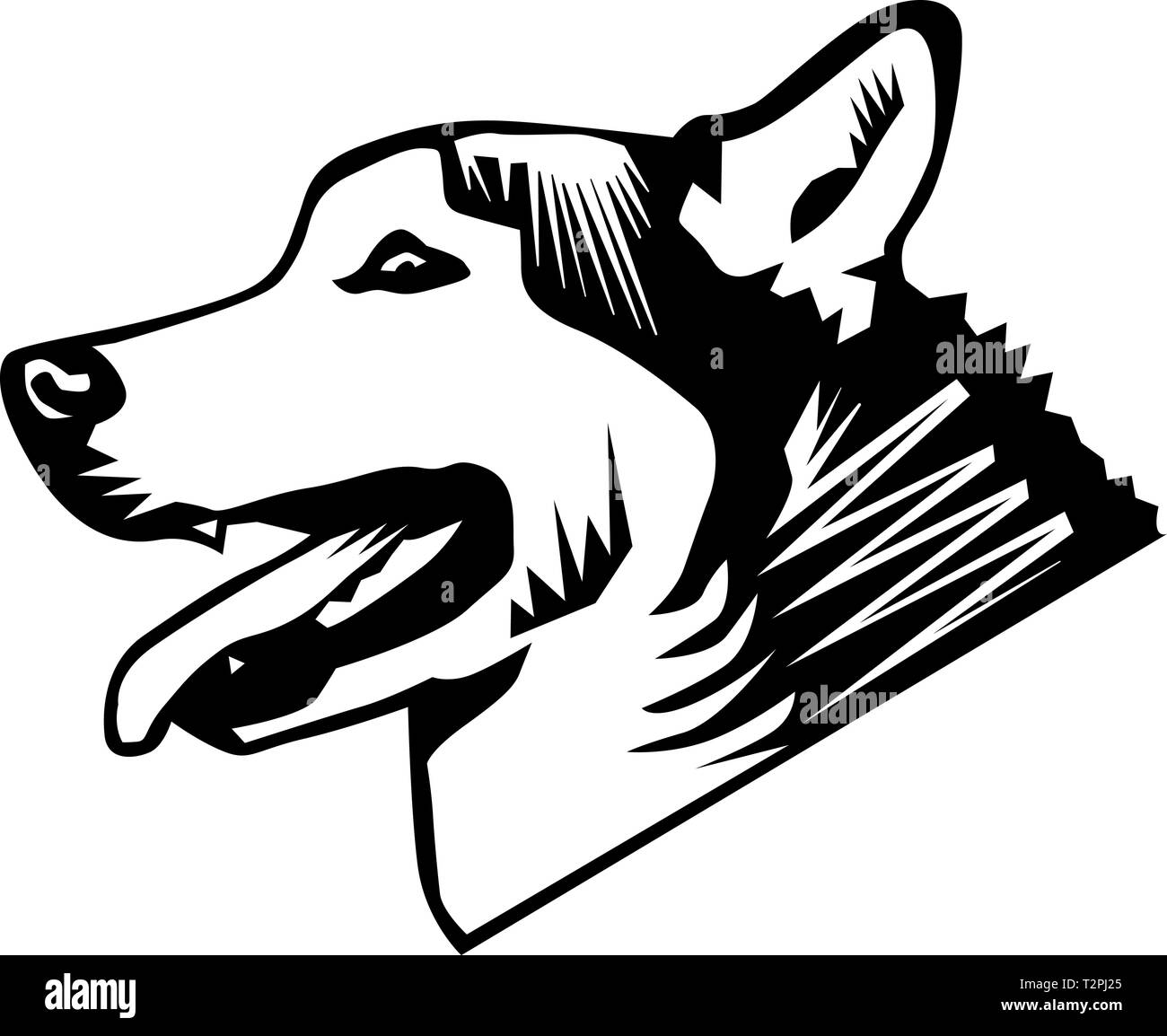 Husky Vector Illustration Stock Vector Image & Art - Alamy