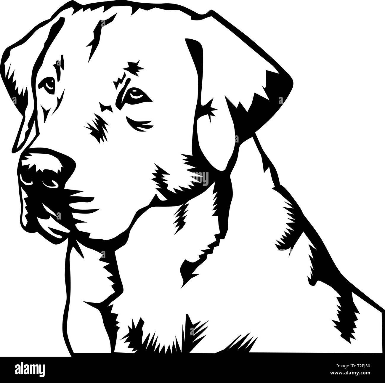 Labrador Retriever Vector Illustration Stock Vector Image & Art Alamy
