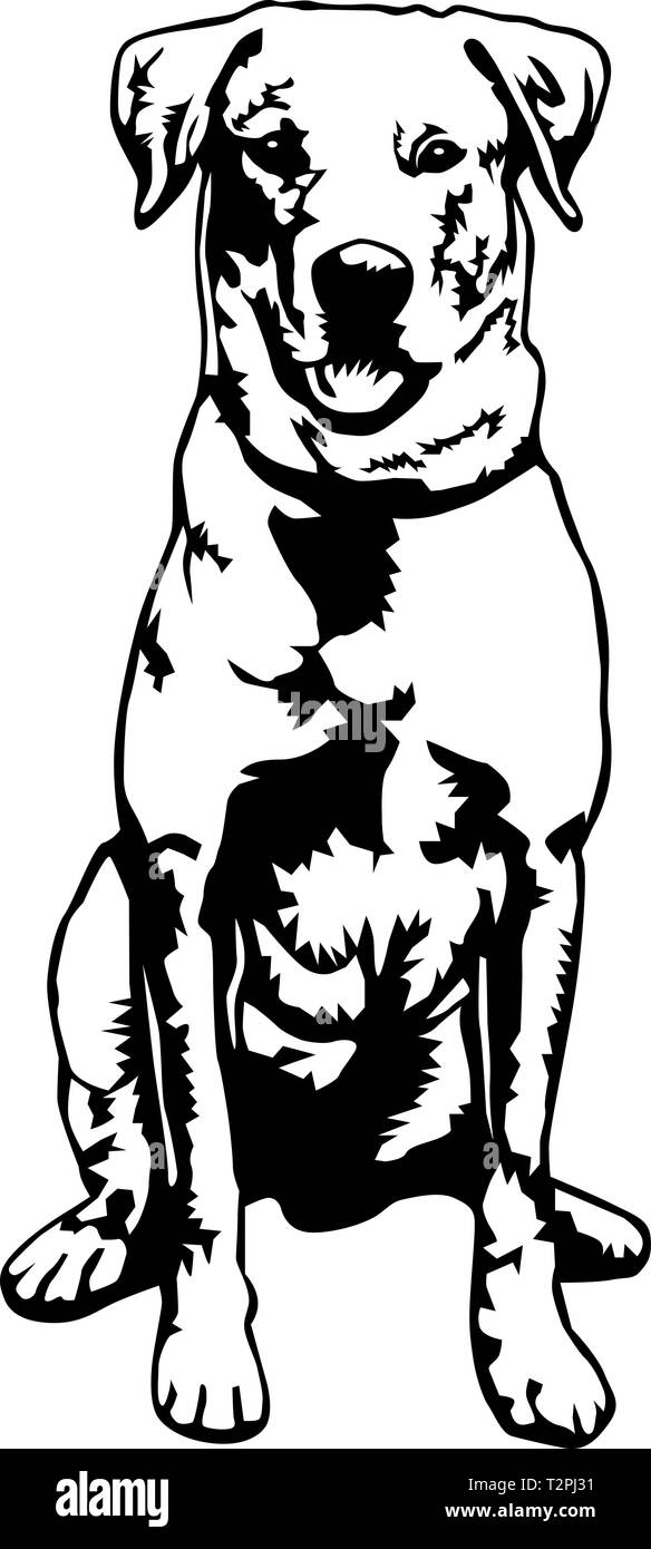 Labrador Retriever Vector Illustration Stock Vector Art & Illustration