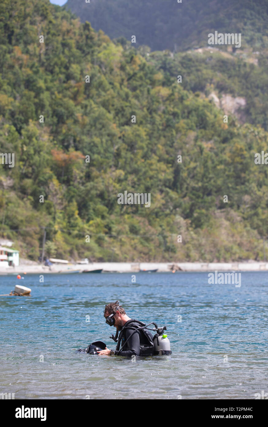 Scuba diver with underwater camera, Dominica, Caribbean Stock Photo