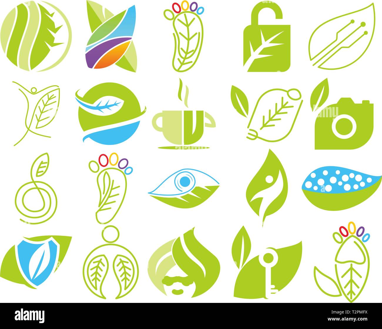 Leaf Logo Design Vector Template Set Stock Vector Image & Art - Alamy