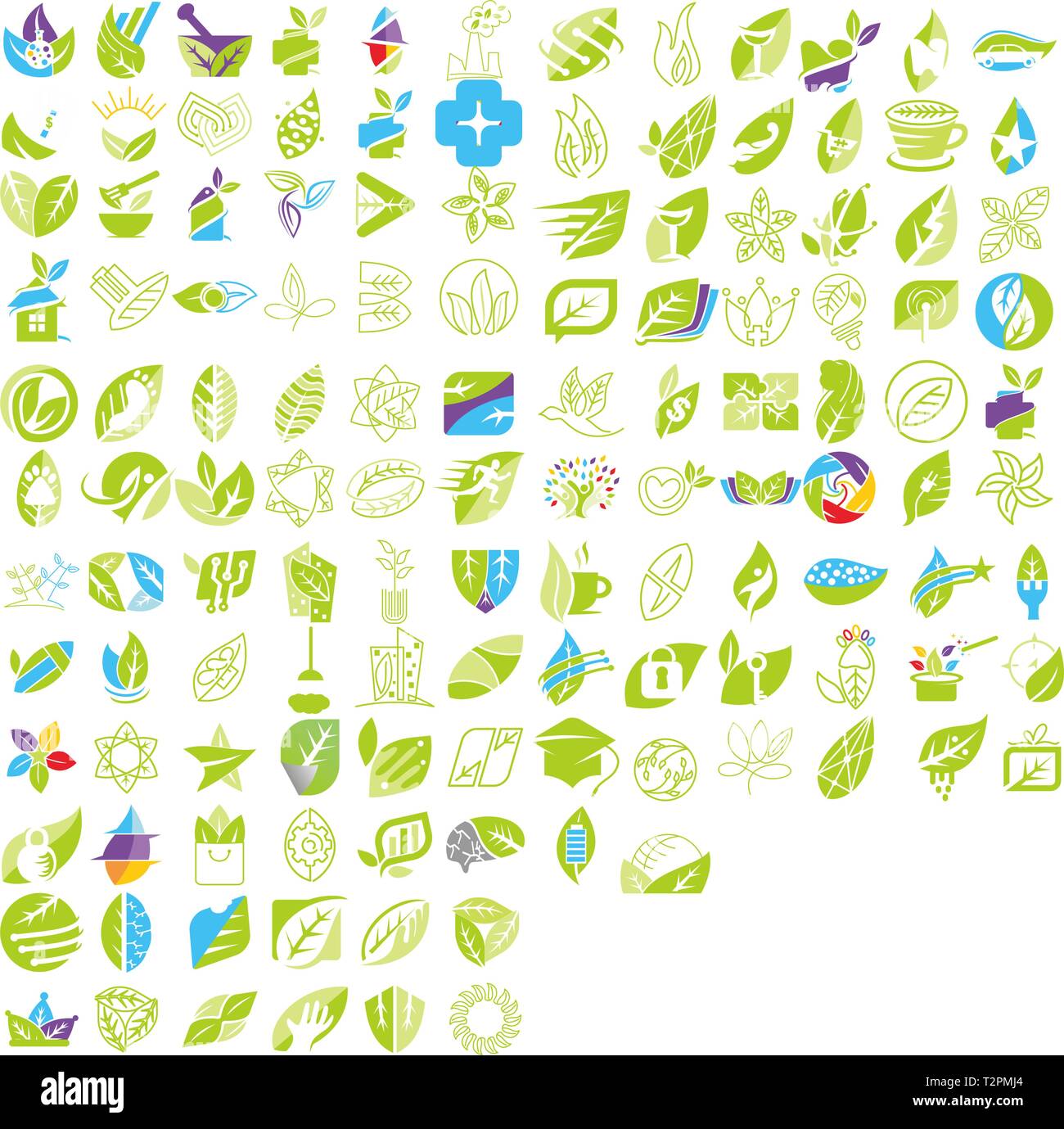 Leaf Logo Design Vector Template Set Stock Vector Image & Art - Alamy