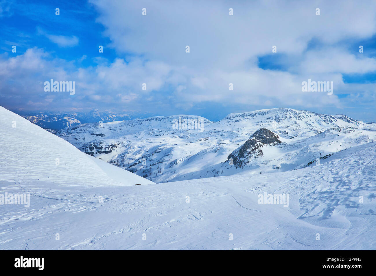 The gentle hill serves as the ski area, leading from the top of