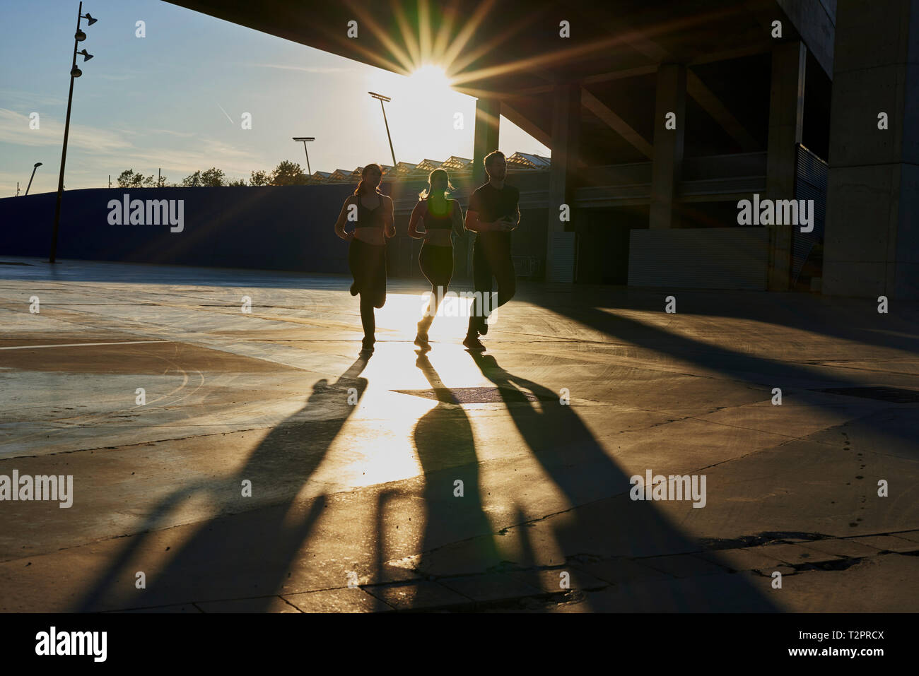 Friends jogging in sports stadium at sunset Stock Photo