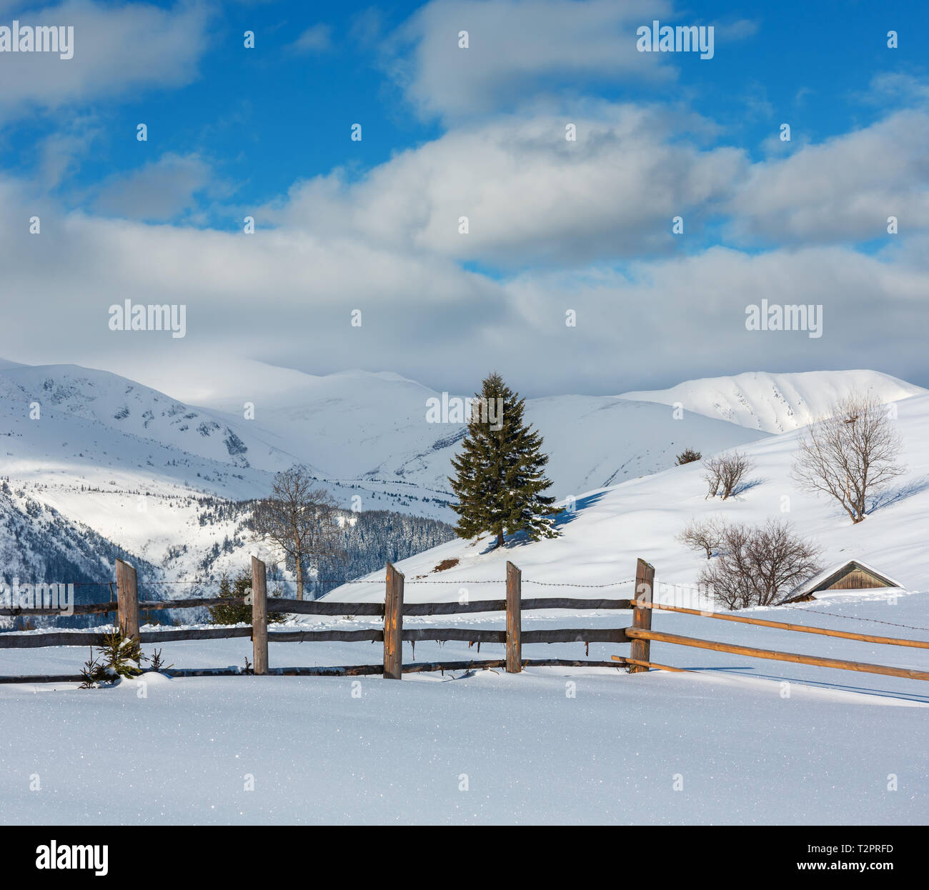 Winter  morning scenery picturesque mountain hill top with farmstead snow covered (Ukraine, Carpathian Mountains, Dzembronya village) Stock Photo