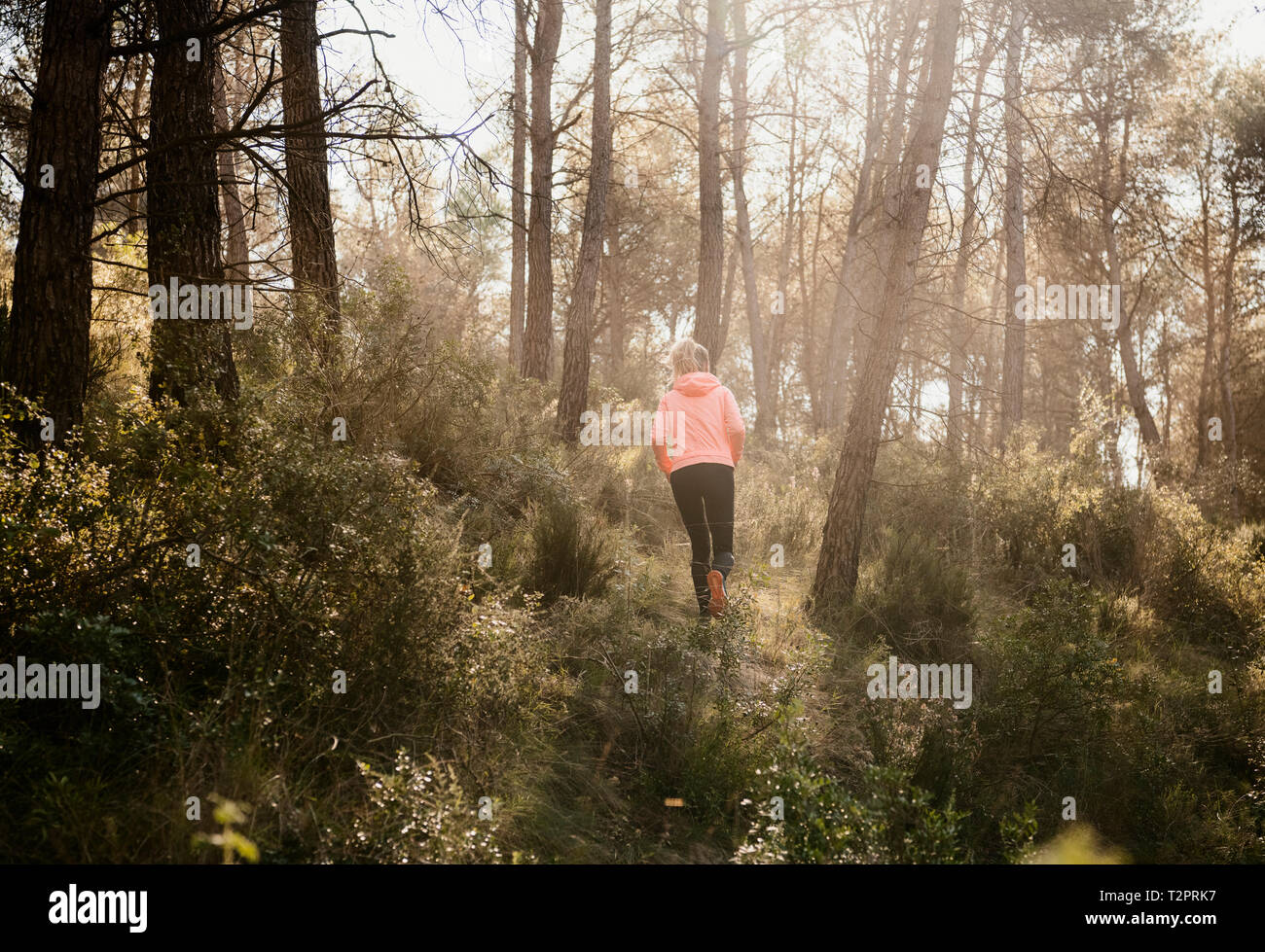 Woman exploring forest, Olivella, Catalonia, Spain Stock Photo