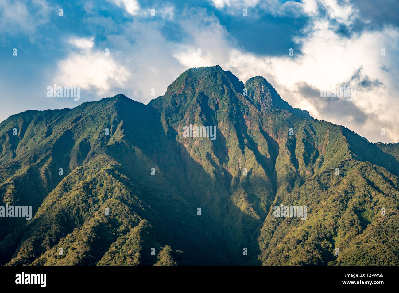 Summit of Mount Sabyinyo, Volcanoes National Park, Rwanda Stock Photo