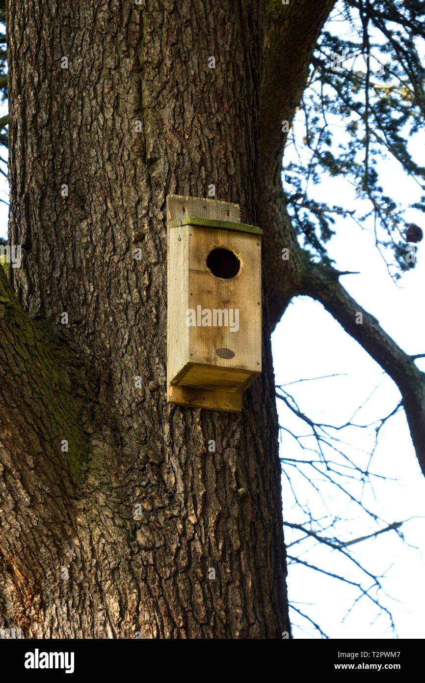 Owl nest box Stock Photo - Alamy