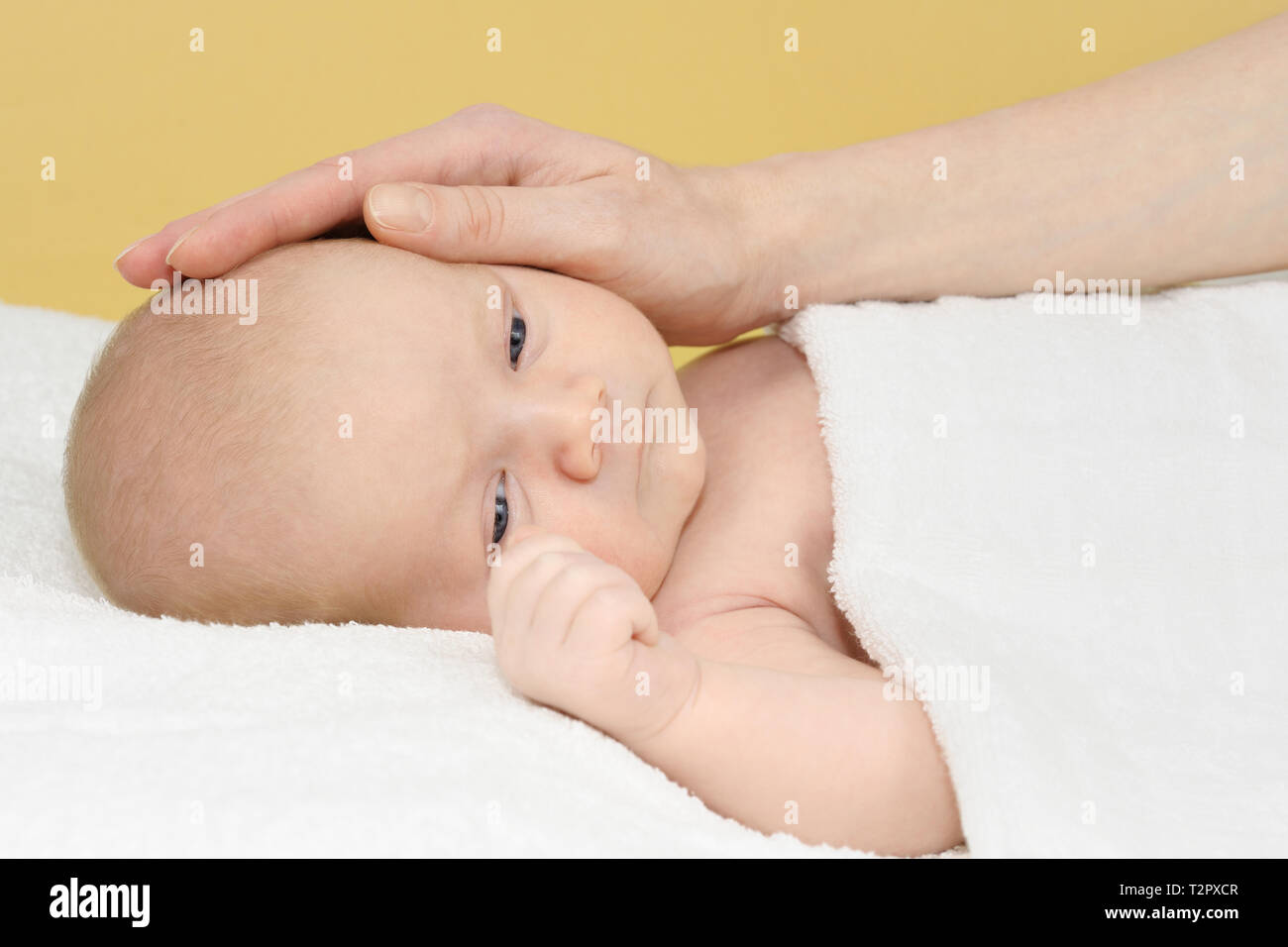 Cute newborn, baby boy lying on a white blanket and his mother's hand Stock Photo