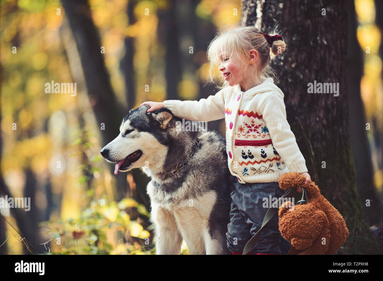 Happy little girl playing with big dog in garden Stock Photo - Alamy