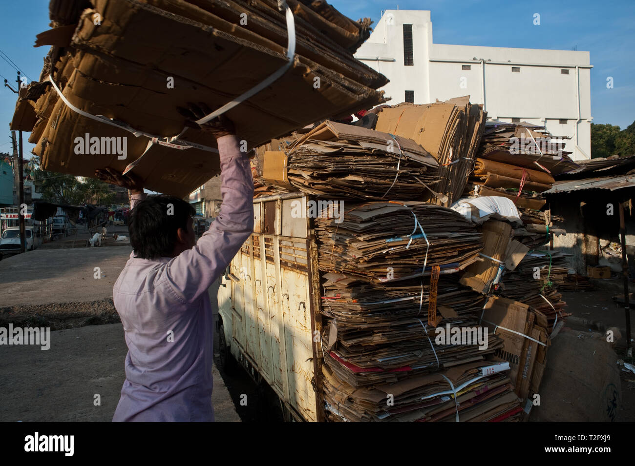 Man working for a paper recycling enterprise ( India) Stock Photo