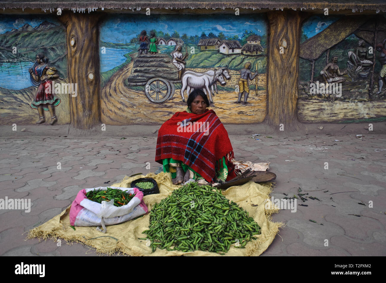 Woman selling vegetables + mural decoration inspired by tribal life ( India) Stock Photo