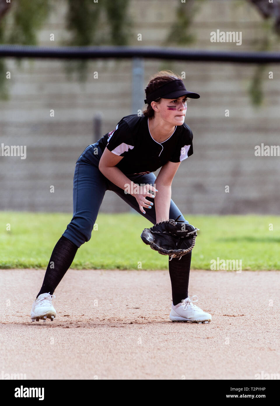 Alert female softball infielder crouched down into ready position and prepared for the ball. Stock Photo
